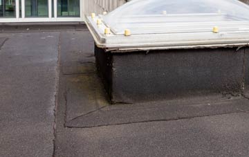 disadvantages of Treworrick flat roofs