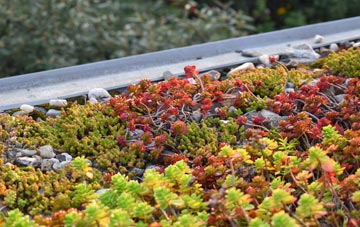 the cost of Treworrick green roof installation