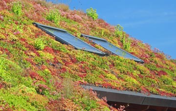 Treworrick living roof systems