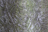 Treworrick fibreglass roof work